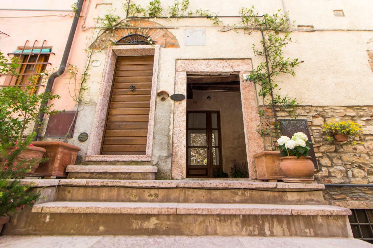 Le Dame Del Borgo Lägenhet Sassetta Exteriör bild